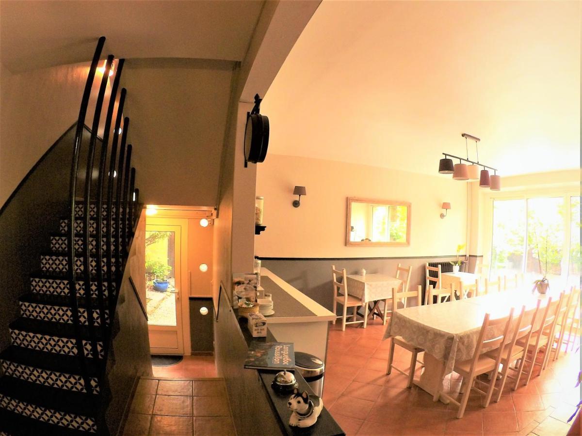 La Villa Carcassonne, Cite 8 Min A Pieds, Clim, Piscine, Full Wifi, Borne 7,5Kw, Velo Elect, Parking Prive Buitenkant foto