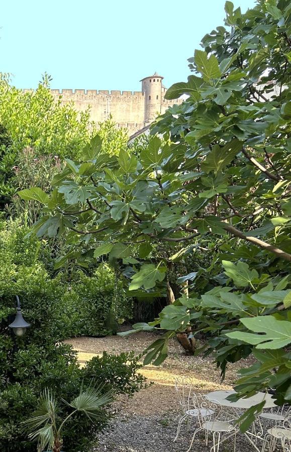 La Villa Carcassonne, Cite 8 Min A Pieds, Clim, Piscine, Full Wifi, Borne 7,5Kw, Velo Elect, Parking Prive Buitenkant foto
